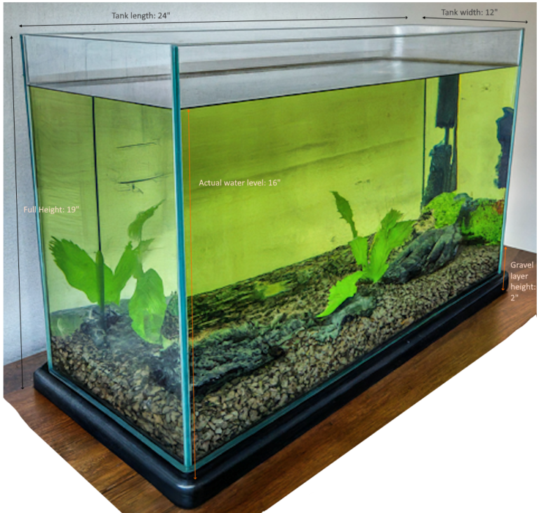 Beautiful view of What Tank Size Provides Enough Housing Space